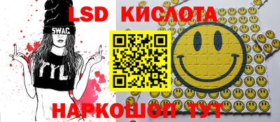 амф Донской