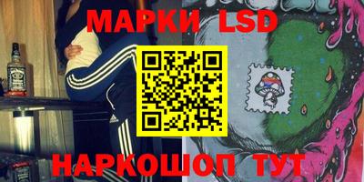 гашик Донецк