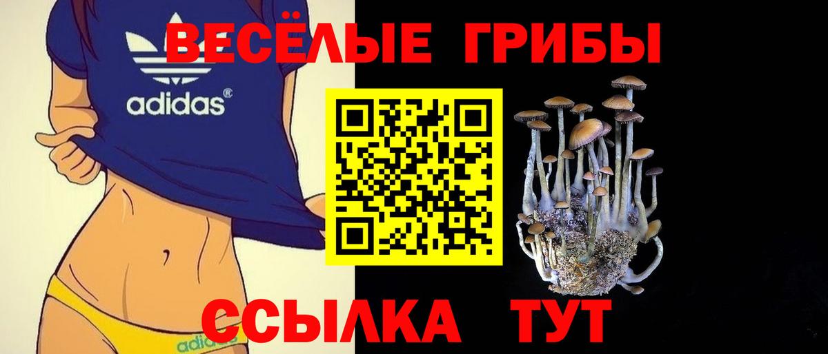 как найти наркотики  Галлюциногенные грибы мухоморы  Вход с VPN  Нефтекамск 